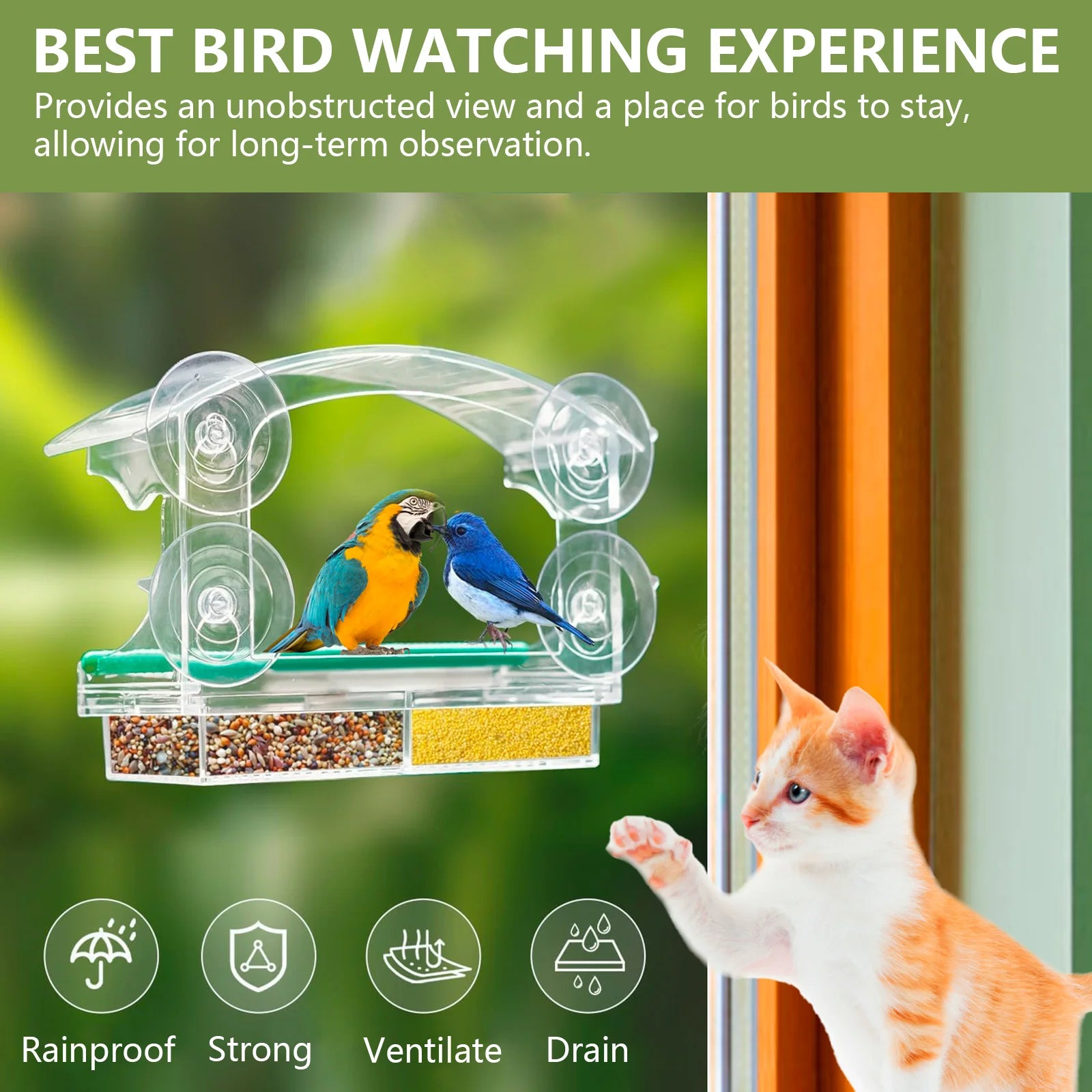 Elevate Your Birdwatching Experience with Our Large Capacity Window Bird Feeder - Durable Acrylic Design with 4 Suction Cups