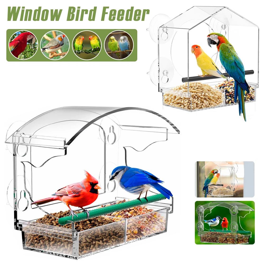 Elevate Your Birdwatching Experience with Our Large Capacity Window Bird Feeder - Durable Acrylic Design with 4 Suction Cups