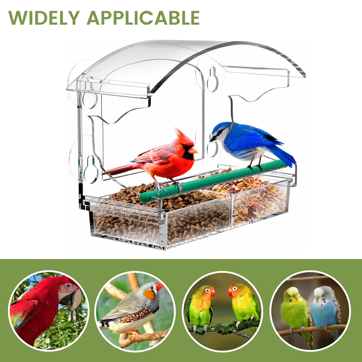 Elevate Your Birdwatching Experience with Our Large Capacity Window Bird Feeder - Durable Acrylic Design with 4 Suction Cups