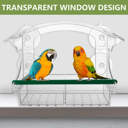 Elevate Your Birdwatching Experience with Our Large Capacity Window Bird Feeder - Durable Acrylic Design with 4 Suction Cups