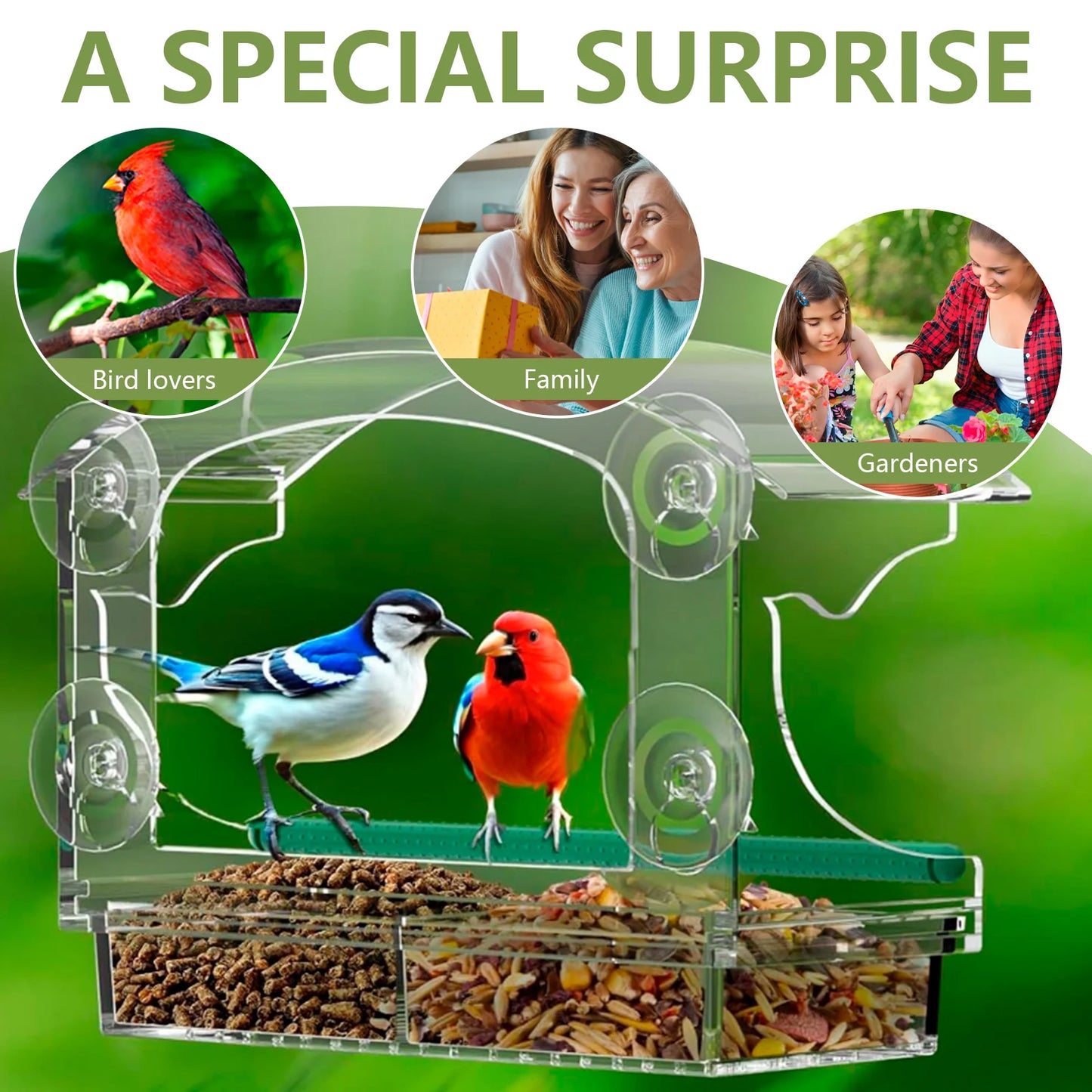 Elevate Your Birdwatching Experience with Our Large Capacity Window Bird Feeder - Durable Acrylic Design with 4 Suction Cups